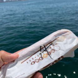 灼熱太陽シーバス