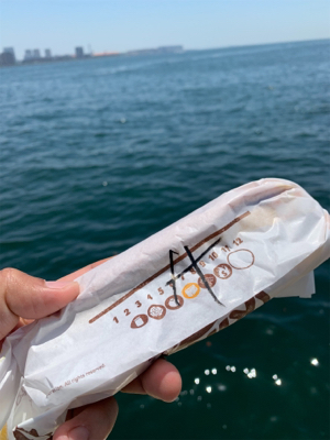 灼熱太陽シーバス