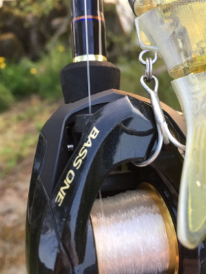 つりぴぃぽぉ釣果