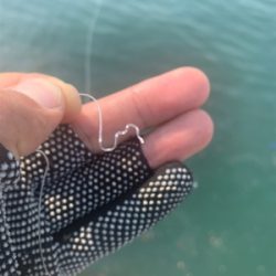 通りすがりラッキー♫