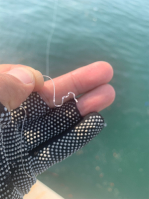 通りすがりラッキー♫