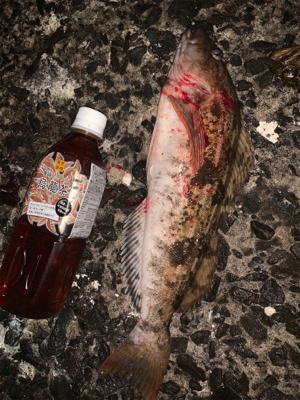 新規開拓！めざせヒラメちゃん！