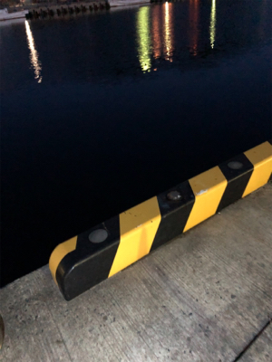 久しぶりの投稿です