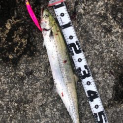 今、武庫一が熱い❗️