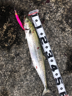 今、武庫一が熱い❗️