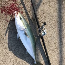 ノマセクラブ淡路釣行ルアーマン入門編