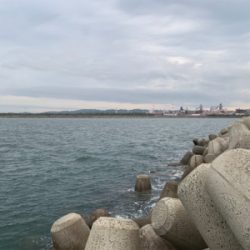 遠征ルアー撃沈で癒しの穴釣り