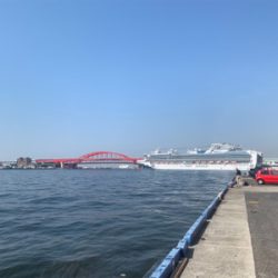 和歌山不発で翌日やっぱ神戸やで!