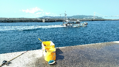 コブダイ釣りがぜんぜん当たりなし、五目釣りに。