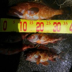 波強し、うねりあり