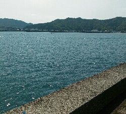 4月28日に続いて宇佐の中堤防へ