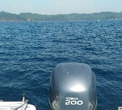 義父の船で土佐市宇佐沖にて鯛サビキ・ちょい投げ