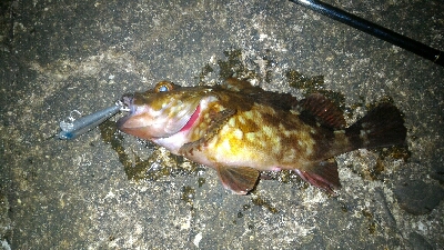 まだまだ開幕せず