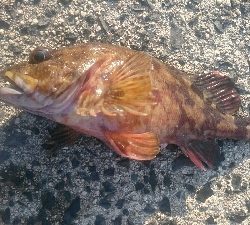 北浜小学校裏にて