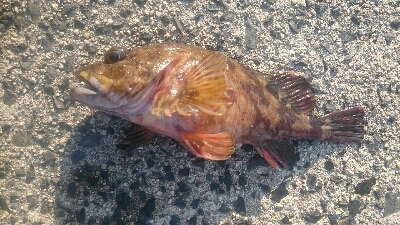 北浜小学校裏にて