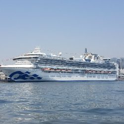 2019年キス調査~