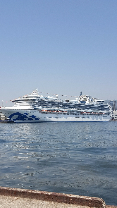 2019年キス調査~