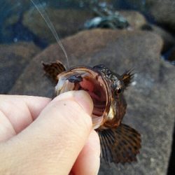 2019年5月28日釣行in伊崎漁港界隈