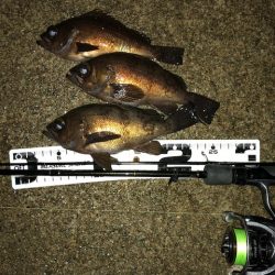 二見メバリング20