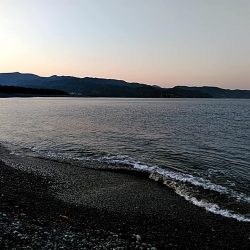 なんと　68㎝のメジロが釣れました!!