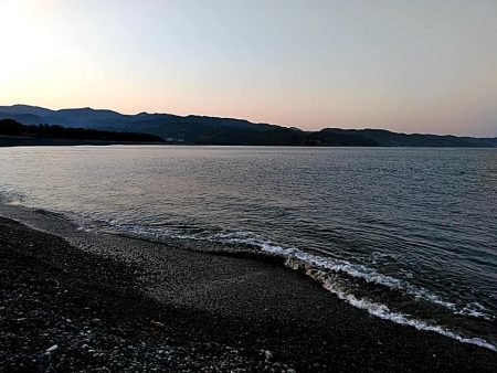 なんと　68㎝のメジロが釣れました!!