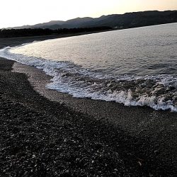 残念ボラでした!!