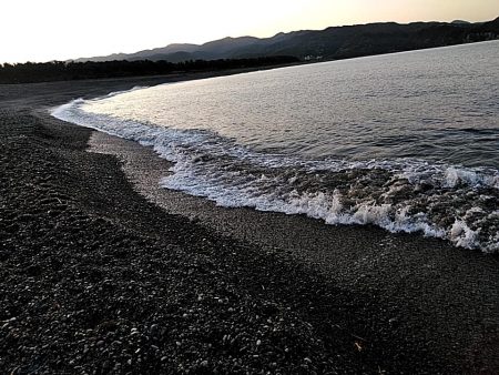 残念ボラでした!!