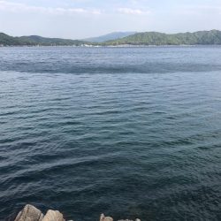 ガッシーは裏切らない