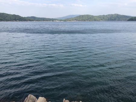 ガッシーは裏切らない