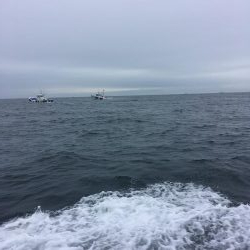 伊島沖でタイラバ