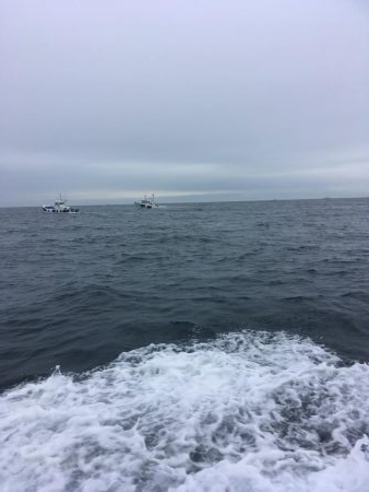 伊島沖でタイラバ