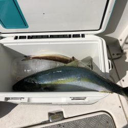 レンタルボートジギングリベンジだ！