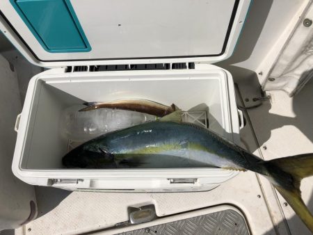 レンタルボートジギングリベンジだ！