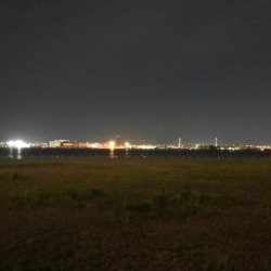 良型メバルゲット♪