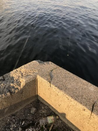 vj28ホームデビュー