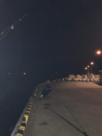 コウイカ連チャン