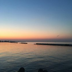 ライトな五目釣り