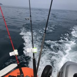 絶好の釣り日和