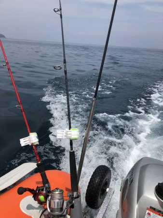 絶好の釣り日和