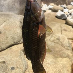 ゴールデンウィーク最終日