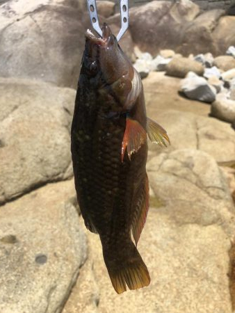 ゴールデンウィーク最終日