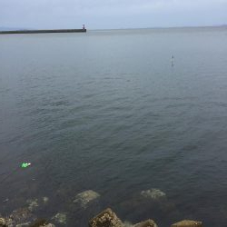 初の穴釣りで‼︎‼︎