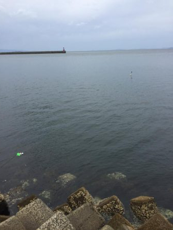 初の穴釣りで‼︎‼︎