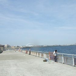 メタルジグでツバスゲーム