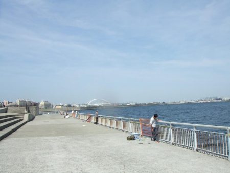 メタルジグでツバスゲーム