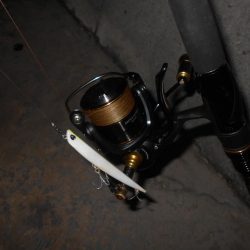 バチパターンでヒット