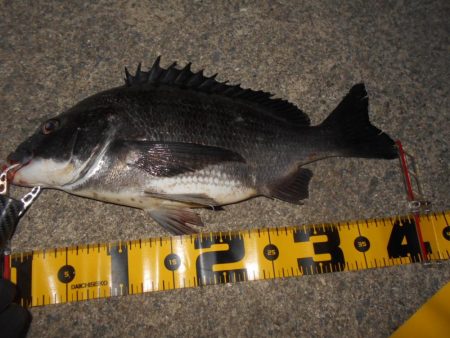 日没後にパタパタとヒット