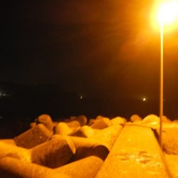 チビチビやりました