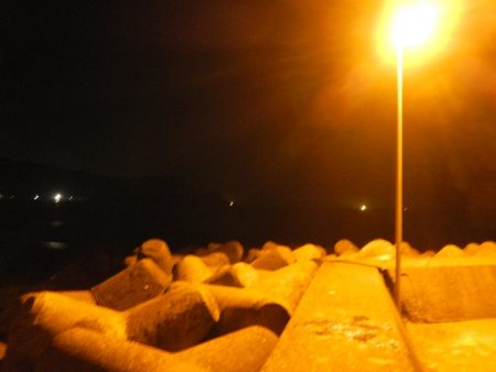 チビチビやりました