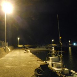 ショートでチビ